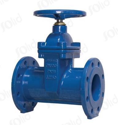 Ductile iron gate valve