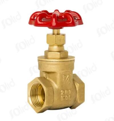 brass gate valve