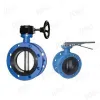 Double Flange Butterfly Valve