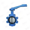 Lug Type Butterfly Valve