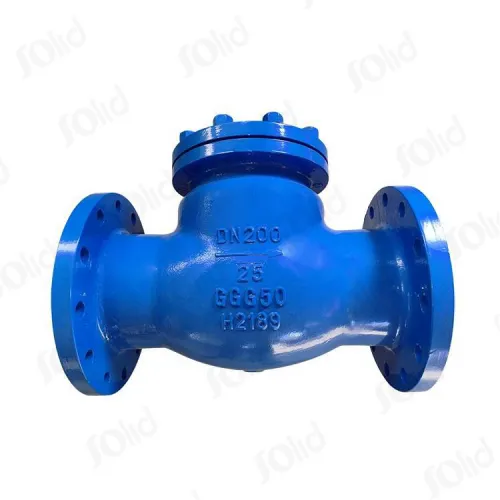 Swing Type Check Valve