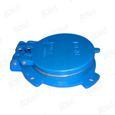 Cast Iron/Ductile Iron Flap Valve