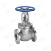 API Globe Valve