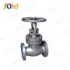 API Globe Valve