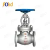 API Globe Valve