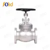 API Globe Valve