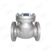 API Swing Check Valve