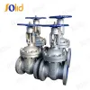 DIN gate valve