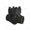 Forged Steel Check Valve