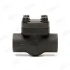 Forged Steel Check Valve