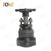 Forged Steel Gate Valve