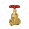 Brass Gate Valve